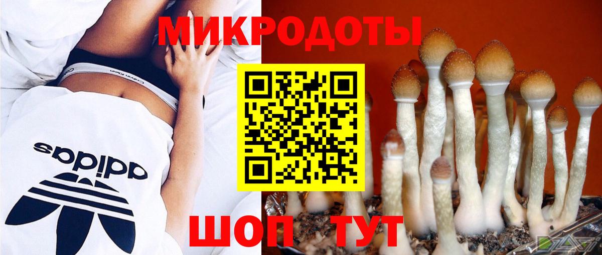 Нижнекамск  Галлюциногенные грибы MAGIC MUSHROOMS  Вход с VPN 